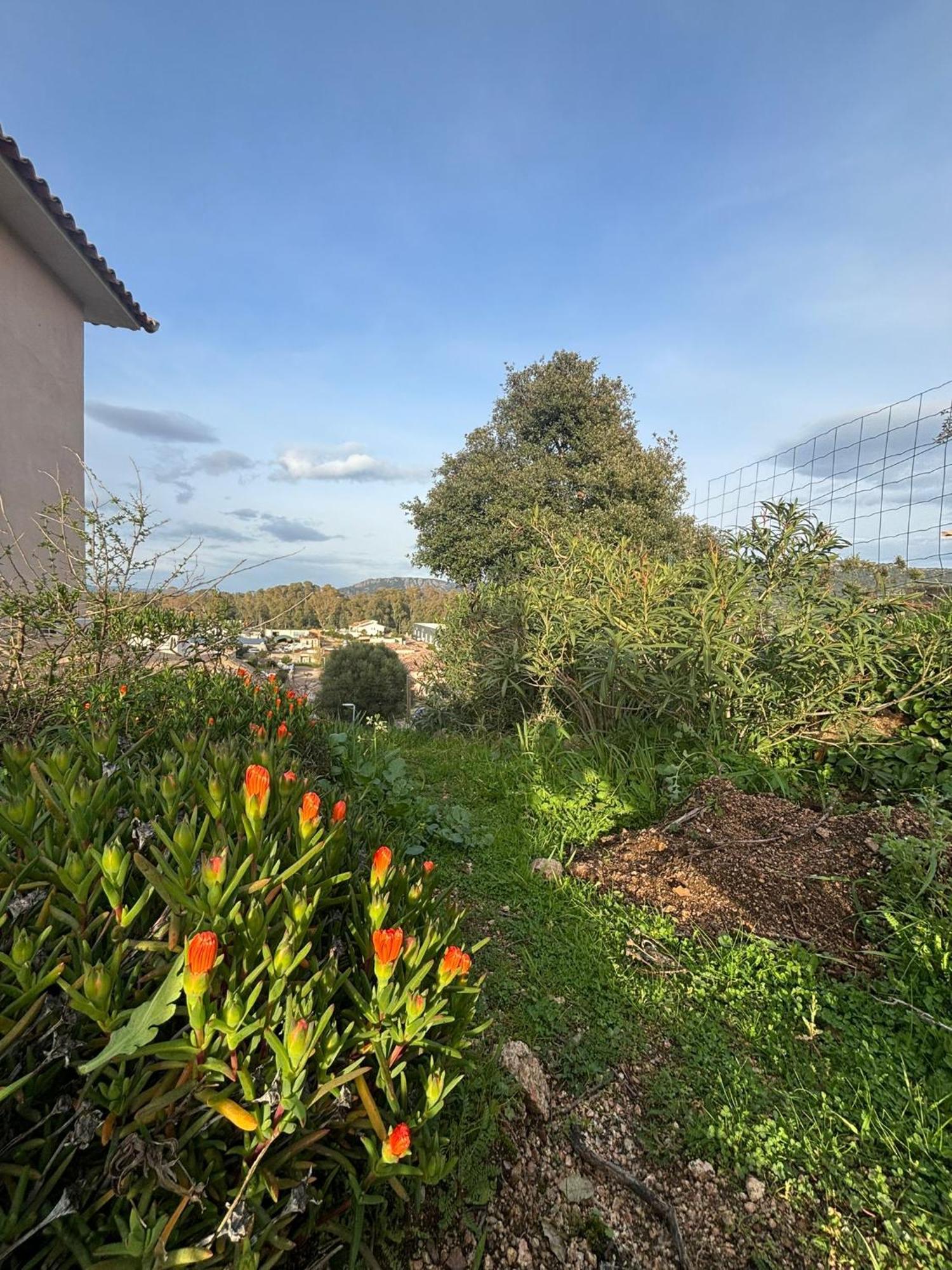 Isula Petra Villa Porto-Vecchio  Luaran gambar